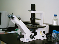 雷射共輕焦掃瞄顯微鏡 Olympus