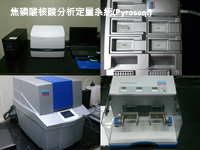 焦磷酸核酸分析定量系統(Pyroseq.)圖片